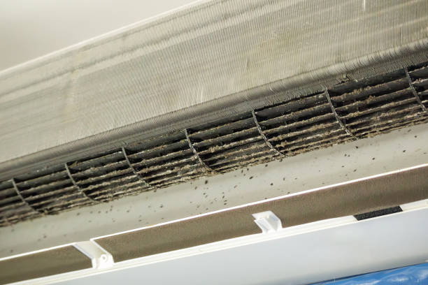 Best Best Air Duct Cleaning Company  in Marble Falls, TX